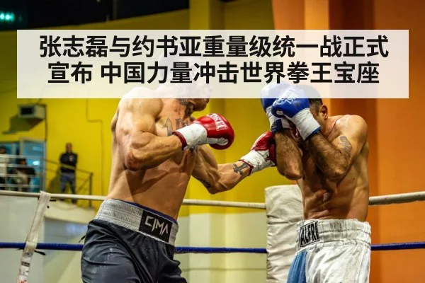 heavyweight boxing fight