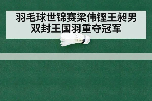 羽毛球世锦赛梁伟铿王昶男双封王国羽重夺冠军