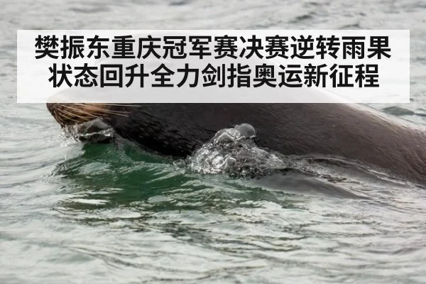 樊振东重庆冠军赛决赛逆转雨果状态回升全力剑指奥运新征程